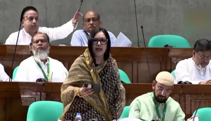 আমার এলাকার হাসপাতাল 'নিজেই একটা রোগীর মতো': রুমিন ফারহানা