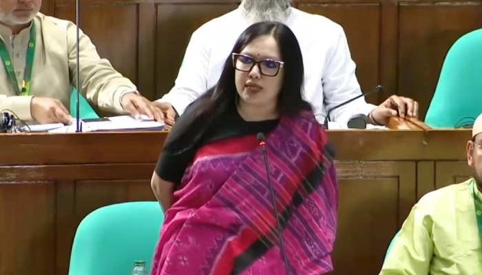 ‘মব-এর শহরে’ পরিণত হয়েছে দেশ: রুমিন ফারহানা