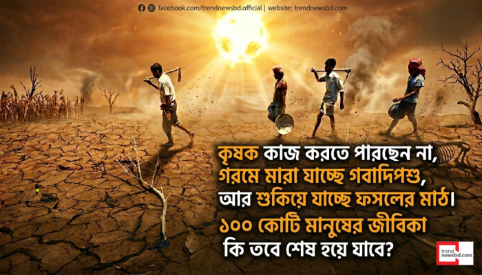 তীব্র তাপপ্রবাহে বৈশ্বিক খাদ্যব্যবস্থা খাদের কিনারে: জাতিসংঘের ভয়াবহ সতর্কতা