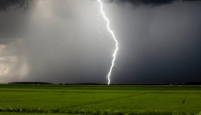 বজ্রাঘাতে গাইবান্ধায় ২ ভাইসহ সারাদেশে ৬ জনের মৃত্যু