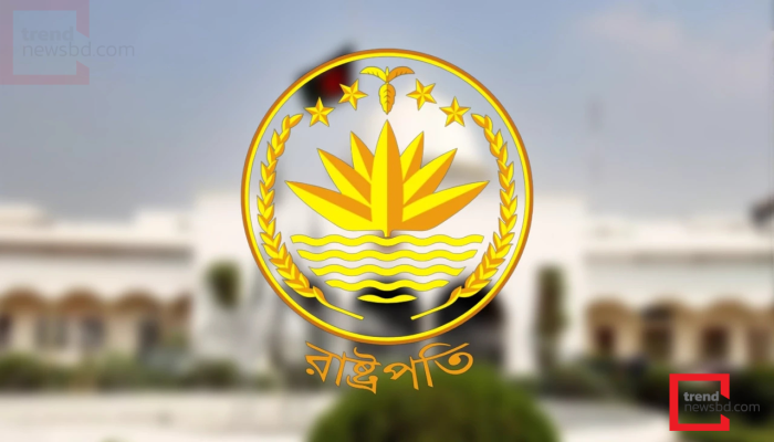 রাষ্ট্রপতি নির্বাচন: দুইটি মনোনয়নপত্র সংগ্রহ করেছে বিএনপি